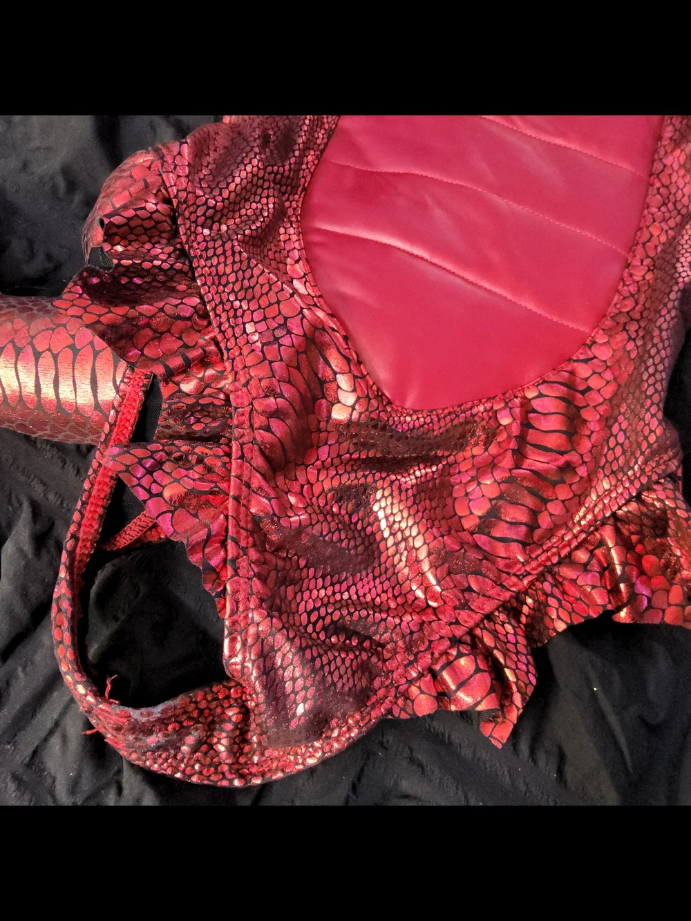 Red Dragon Costume
